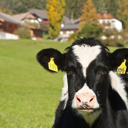 Farm stay Unterpfaffstall-hof