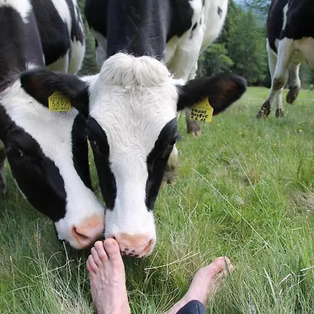 Unterpfaffstall-hof Farm stay *